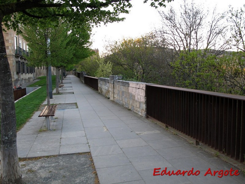 Muralla abaluartada de Pamplona