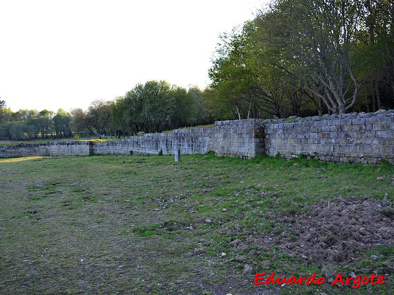 Campamento romano de Aquis Querquennis