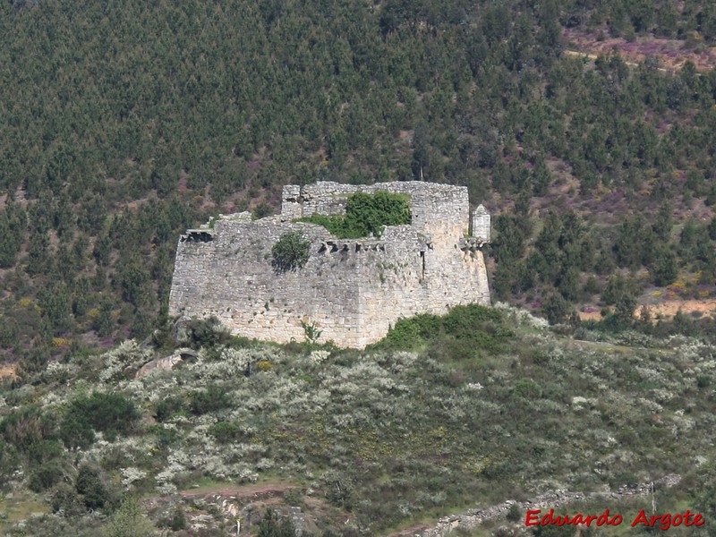 Fortín de Monterrei