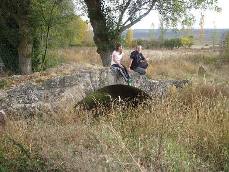 Puente romano de Puentetma