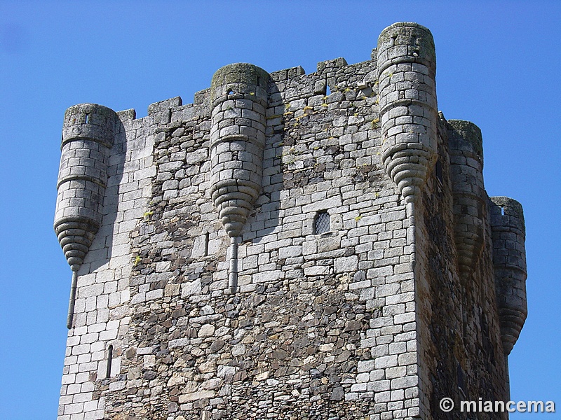 Castillo de Monleón