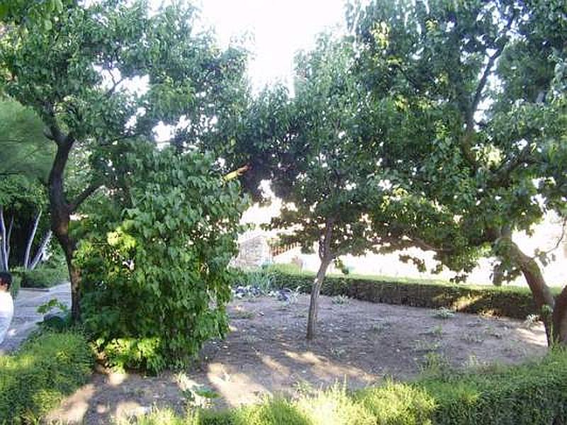 Huerto de Calixto y Melibea