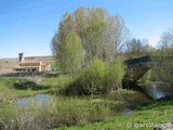 Puente medieval de Duratón