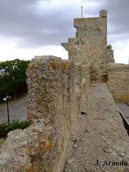 Alcázar del Rey don Pedro