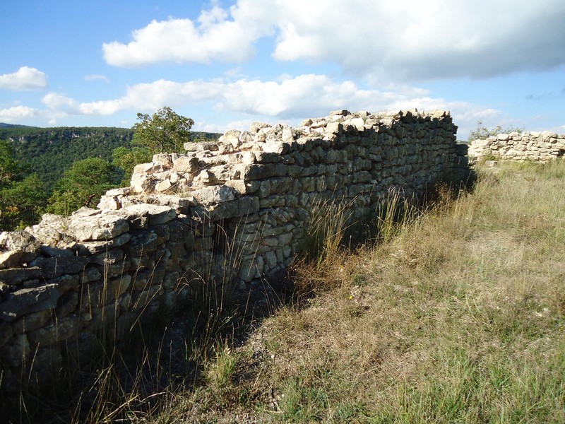 Castillo de l'Albiol