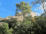 Castillo de Seguer