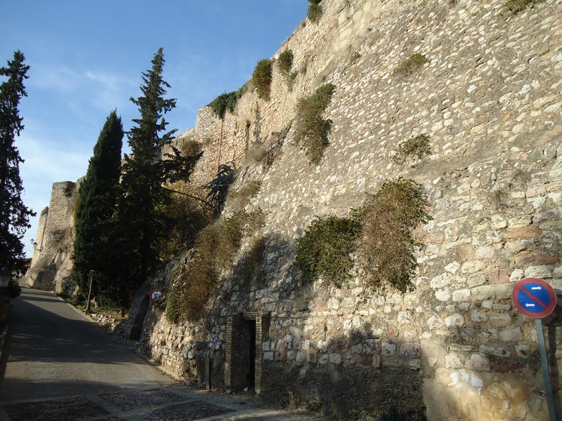 Castillo de La Zuda