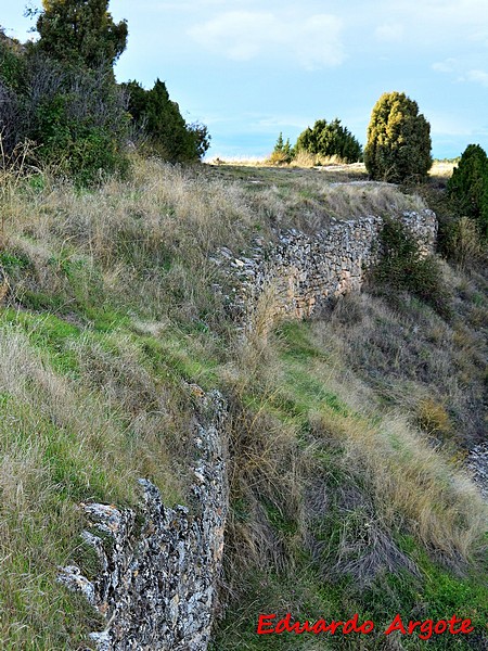 Castillo de Monroyo