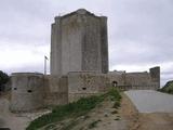 Castillo de Íscar