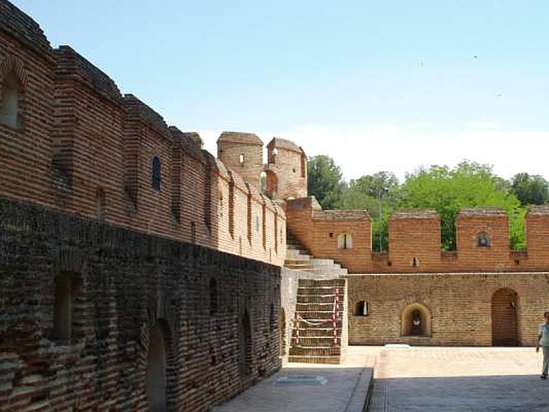 Castillo de la Mota