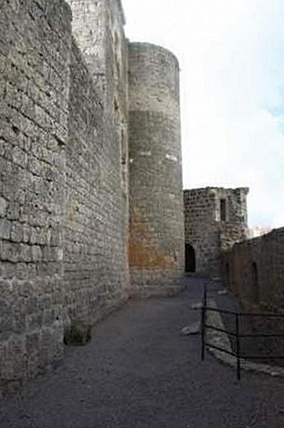 Castillo de Portillo