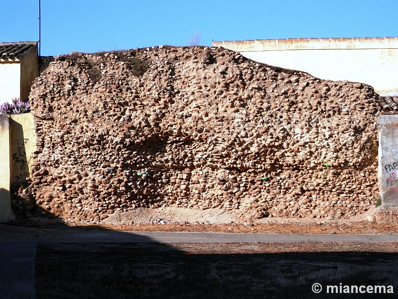 Muralla urbana de Villalpando