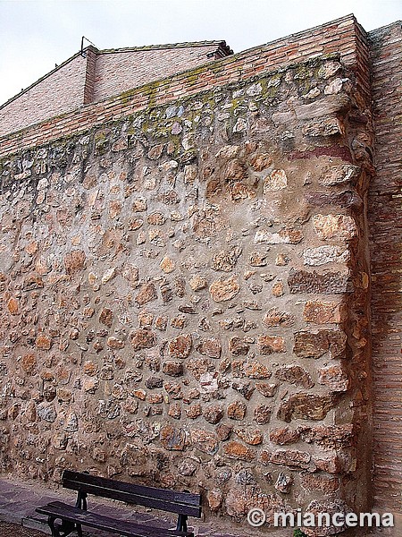 Muralla urbana de La Almunia de Doña Godina